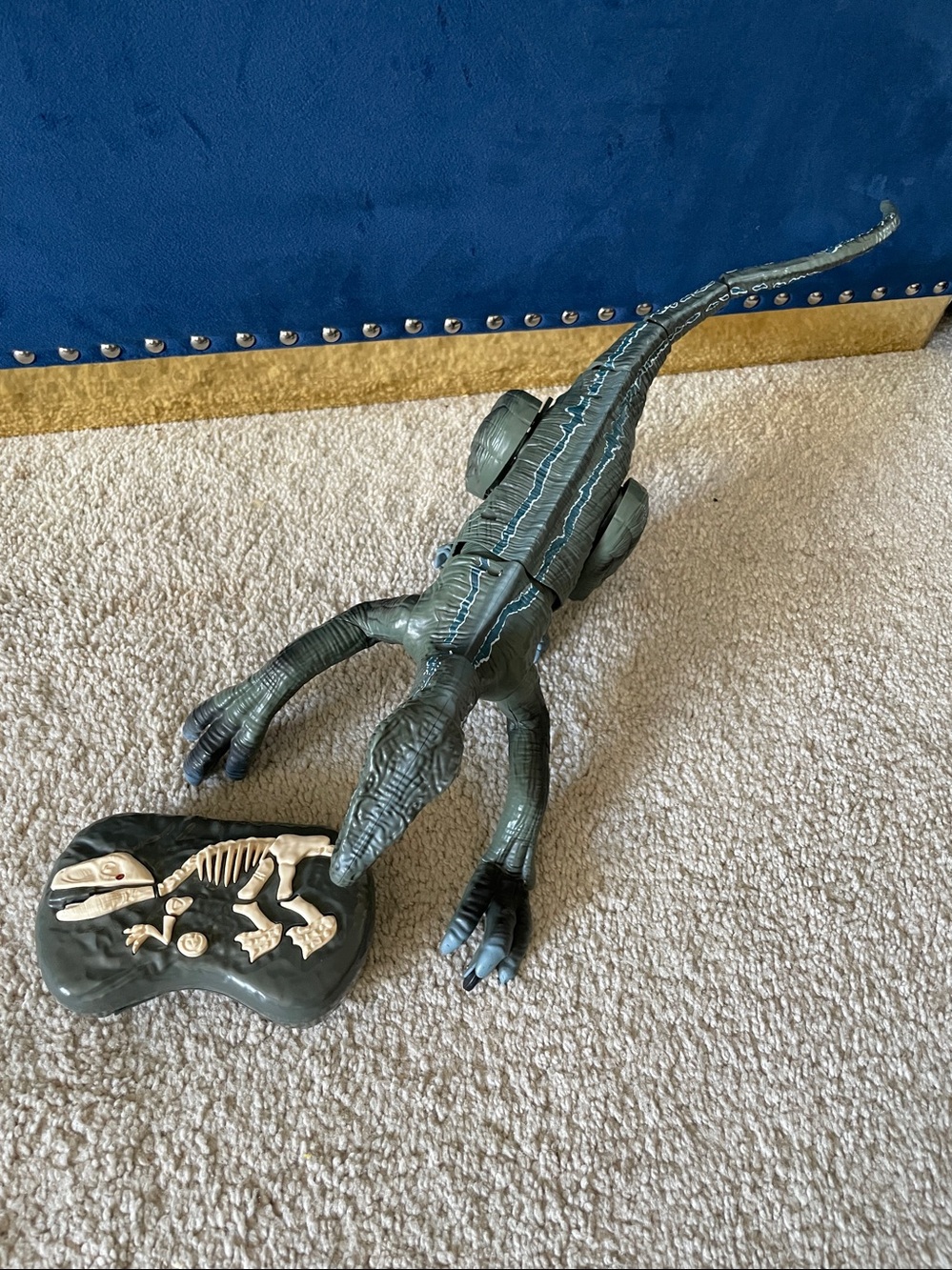 Remote Control Velociraptor - Picture 3 of 4